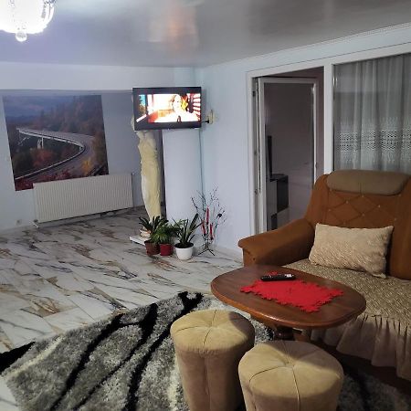 Appartamento Apartament Cu Terasa Si Gratar Satu Mare Esterno foto