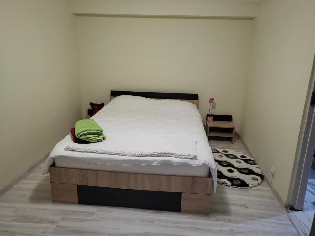 Appartamento Apartament Cu Terasa Si Gratar Satu Mare Esterno foto