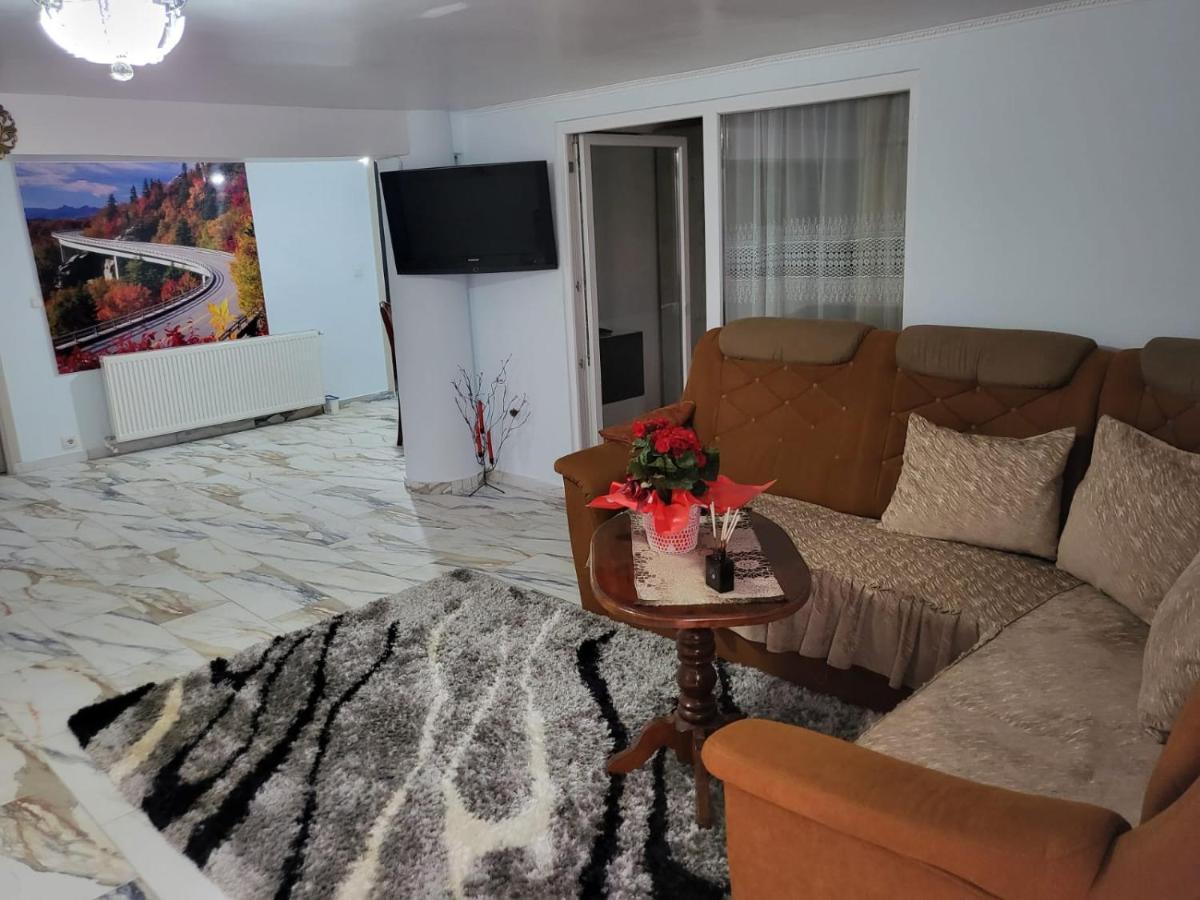 Appartamento Apartament Cu Terasa Si Gratar Satu Mare Esterno foto
