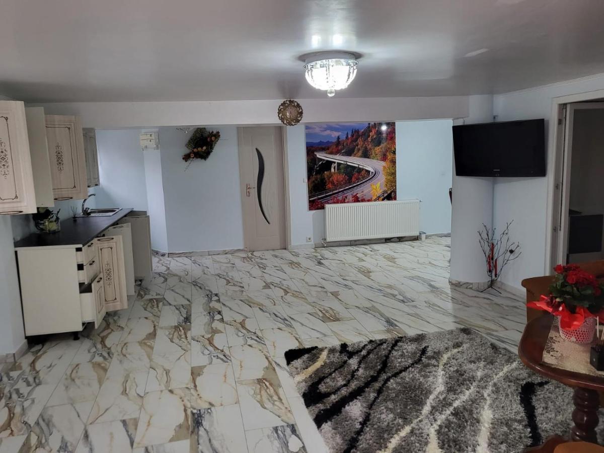 Appartamento Apartament Cu Terasa Si Gratar Satu Mare Esterno foto