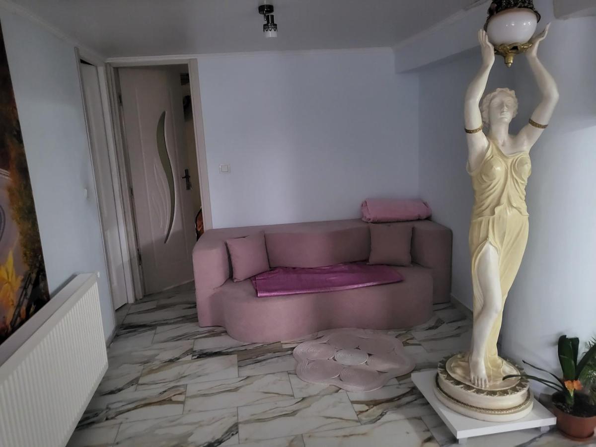 Appartamento Apartament Cu Terasa Si Gratar Satu Mare Esterno foto